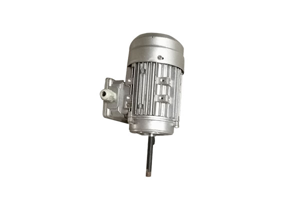 長(zhǎng)軸電機(jī)